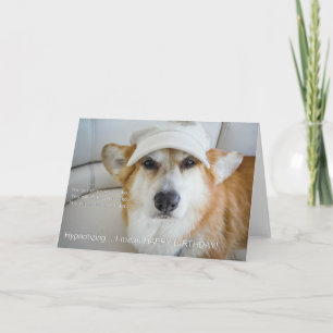 Carte d'anniversaire Corgi hypnotisante