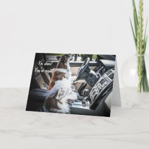 Carte d'anniversaire Corgis