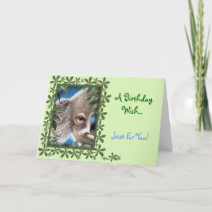 Carte d'anniversaire Curios Koala