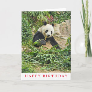 Carte d'anniversaire Cute panda