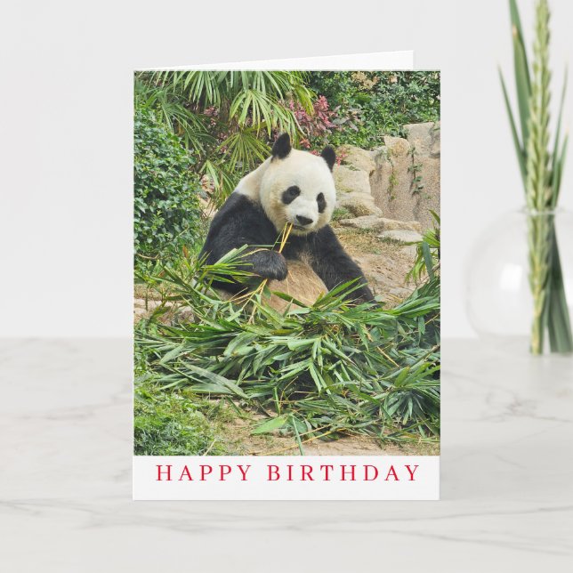Carte d'anniversaire Cute panda (Devant)
