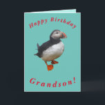 Carte d'anniversaire Cute Puffin pour Grandson<br><div class="desc">Un mignon macareux fait une belle image pour cette carte d'anniversaire pour grand-fils.  Tout le texte peut être facilement customisé.</div>