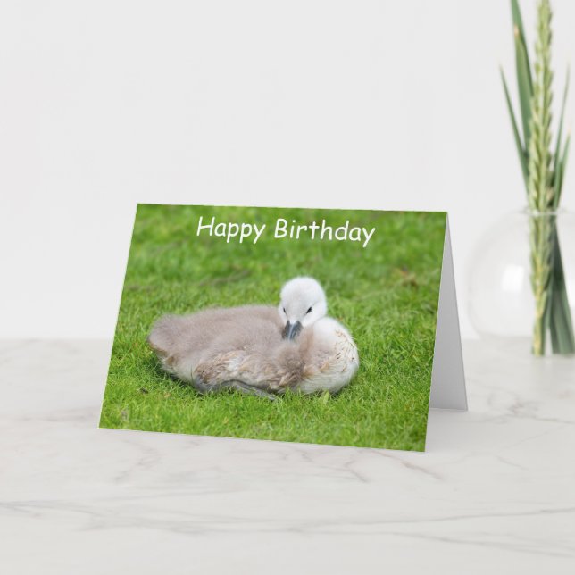 Carte d'Anniversaire Cygnet (Devant)