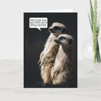 Carte d'anniversaire d'amusement avec Meerkats -