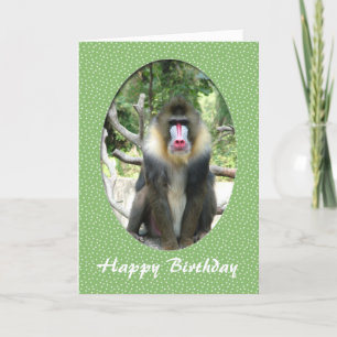 carte d'anniversaire d'animal de zoo joyeux