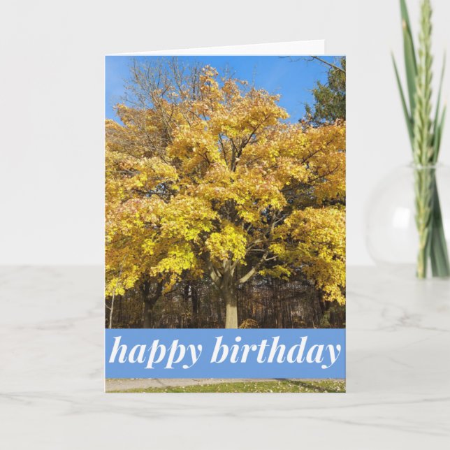 Carte d'anniversaire d'arbre d'érable en automne (Devant)