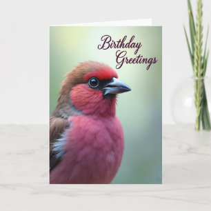 Carte d'anniversaire d'art d'oiseau coloré