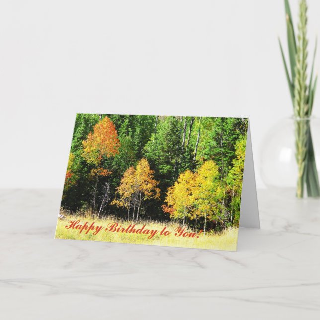 Carte d'anniversaire d'Aspen (Devant)