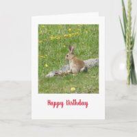 Carte d'anniversaire de bébé lapin sauvage