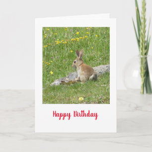 Carte d'anniversaire de bébé lapin sauvage