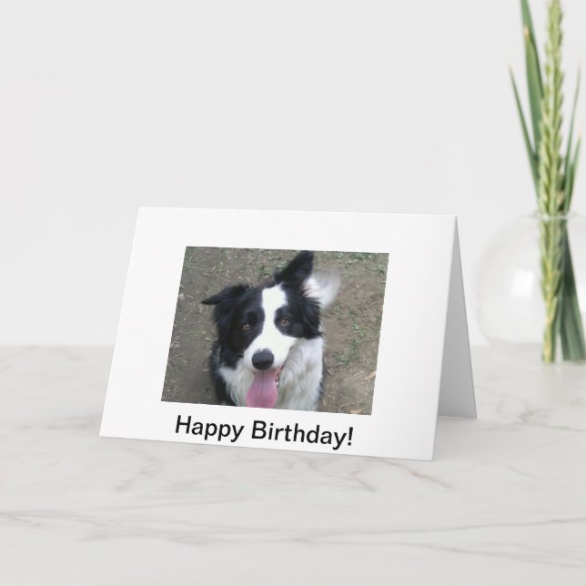 Carte d'anniversaire de border collie (Devant)