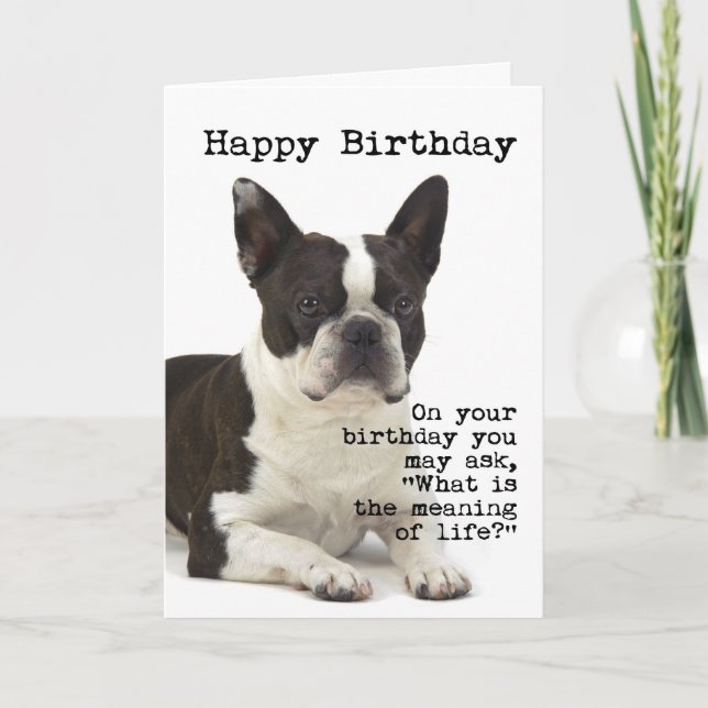Carte d'anniversaire de Boston Terrier (Devant)