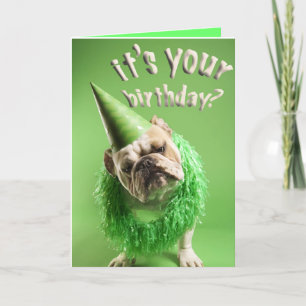 carte d'anniversaire de bulldog