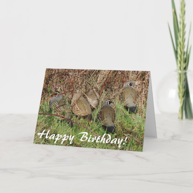Carte d'anniversaire de cailles de Californie (Devant)
