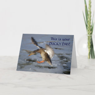 Carte d'anniversaire de canard de Mallard