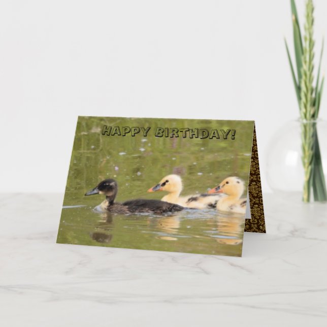 Carte d'anniversaire de canards mignons éblouissan (Devant)