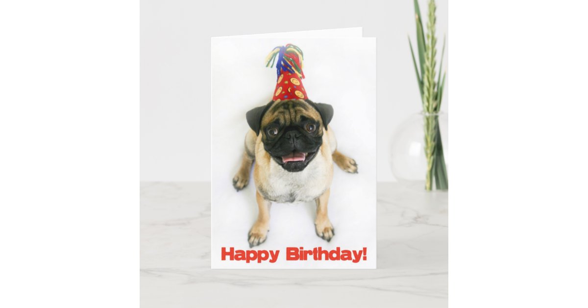 Carte D Anniversaire De Carlin Zazzle Fr