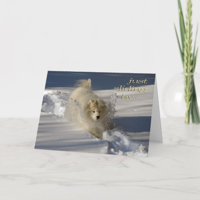 Carte d'anniversaire de chasse-neige (Devant)