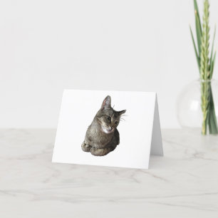 Carte d'anniversaire de chat Abyssinian