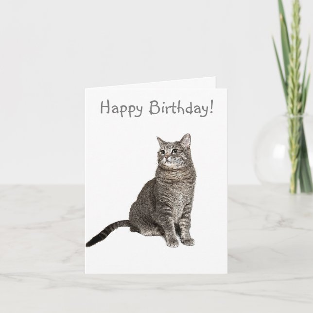 Carte d'anniversaire de chat Abyssinian (Devant)