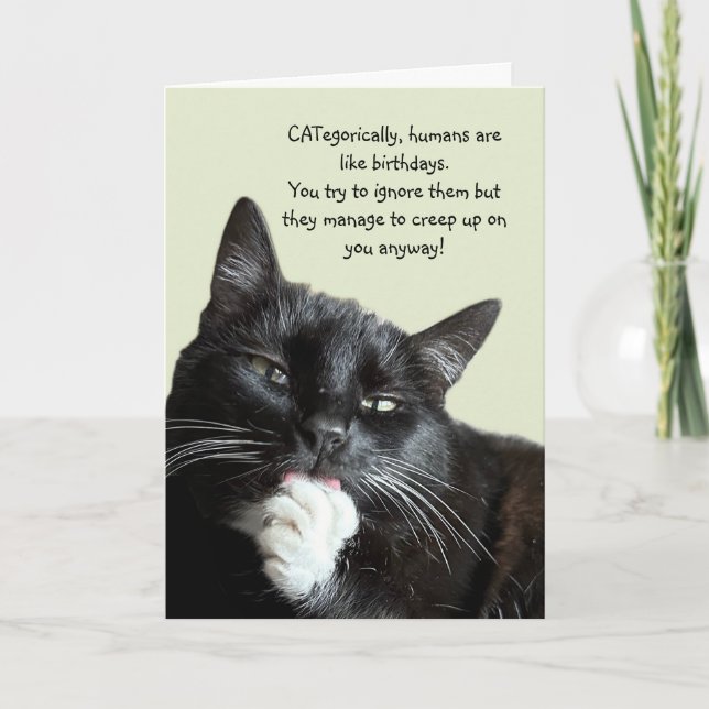 Carte d'anniversaire de chat amusant (Devant)