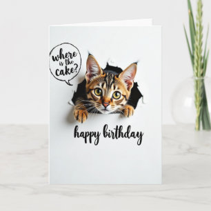 Carte d'anniversaire de chat curieux et joueur