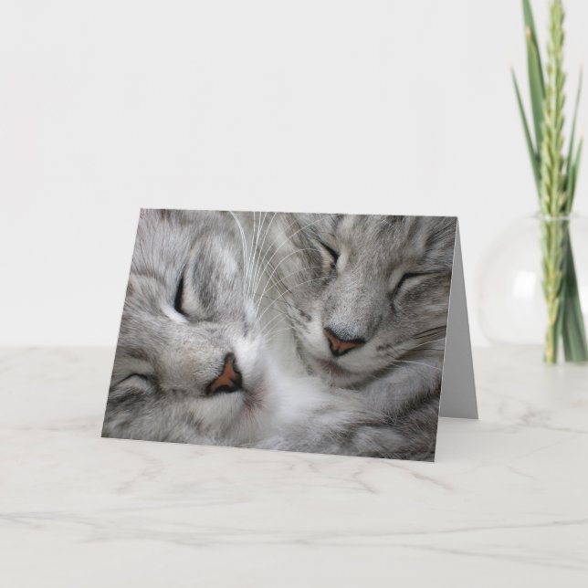 Carte d'anniversaire de chat de forêt (Devant)