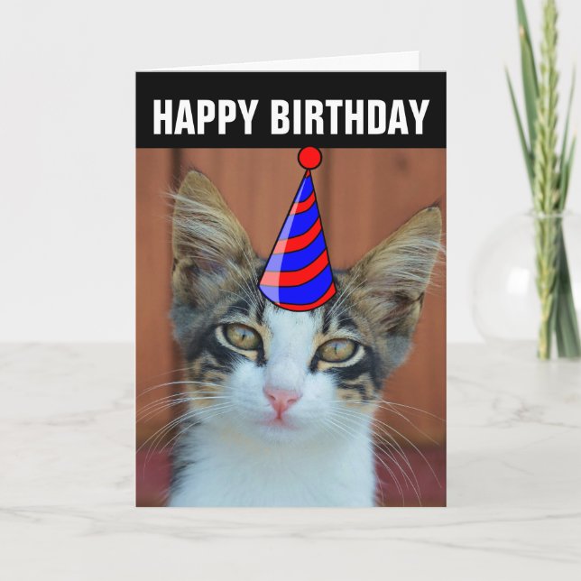 CARTE D'ANNIVERSAIRE DE CHAT MIGNON (Devant)