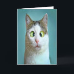 Carte d'anniversaire de chat mignon drôle fou<br><div class="desc">Carte d'anniversaire de chat mignon drôle fou par Carte de vœux THÉORIE DE L'HUMOUR.</div>