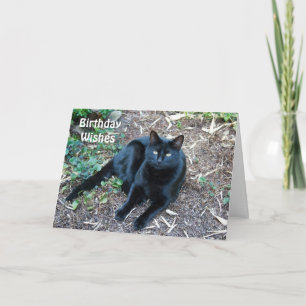 Carte d'anniversaire de chat noir 1