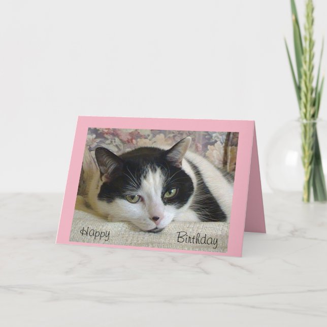 Carte d'anniversaire de chat noir/blanc adorable (Devant)