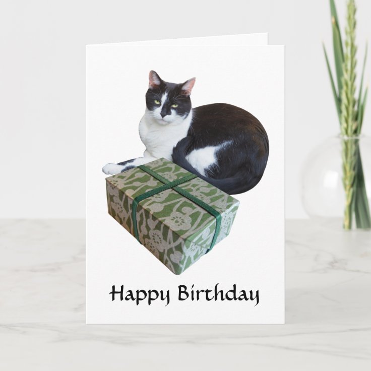 Carte D Anniversaire De Chat Noir Et Blanc Zazzle Fr