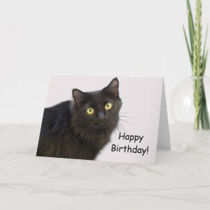 Carte d'anniversaire de chat noir par point pour u