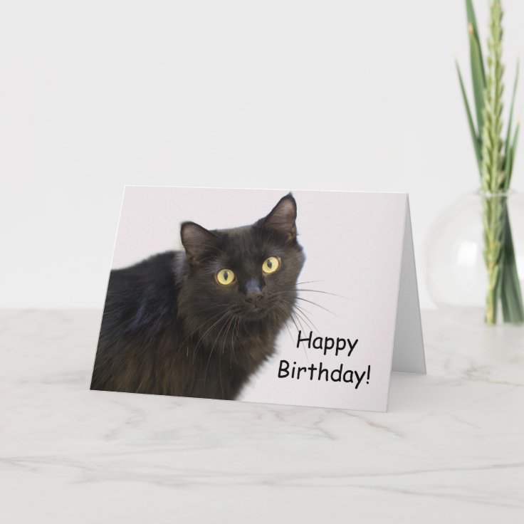 Carte D Anniversaire De Chat Noir Par Point Pour U Zazzle Fr