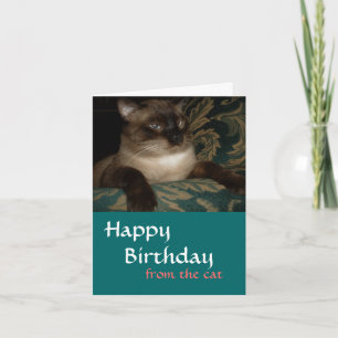 Carte d'anniversaire de chat siamois - De votre ch