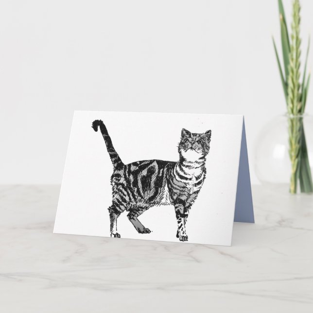 Carte d'anniversaire de chat Tabby noir et blanc (Devant)