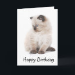 Carte d'anniversaire de chaton de Ragdoll<br><div class="desc">Une conception mignonne de ragdoll</div>