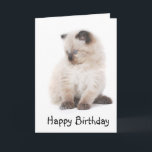 Carte d'anniversaire de chaton de Ragdoll<br><div class="desc">Une conception mignonne de ragdoll</div>