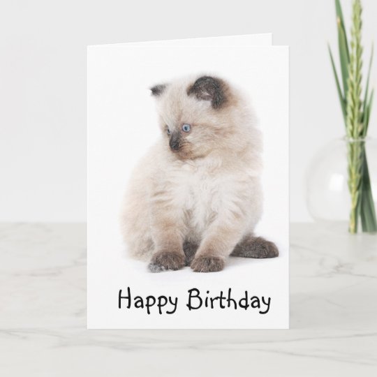 Carte D Anniversaire De Chaton De Ragdoll Zazzle Fr