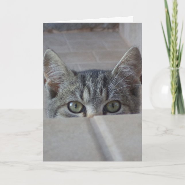 Carte d'anniversaire de chaton Peek-a-boo (Devant)