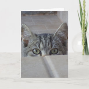 Carte d'anniversaire de chaton Peek-a-boo