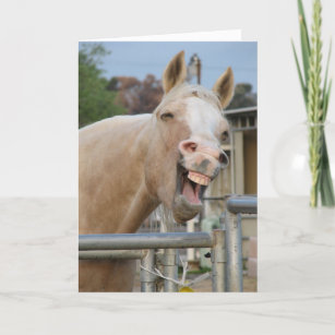 Cartes Drole Cheval D Anniversaire Zazzle Fr