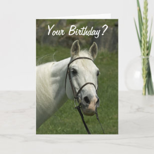 Cartes Cheval Blanc D Anniversaire Zazzle Fr