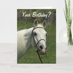 Carte d'anniversaire de cheval blanc
