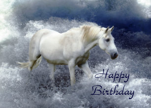 Cartes Cheval Blanc D Anniversaire Zazzle Fr