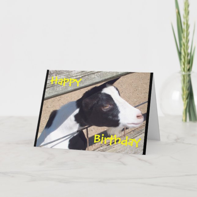 Carte d'anniversaire "de chèvre de zoo" (Devant)