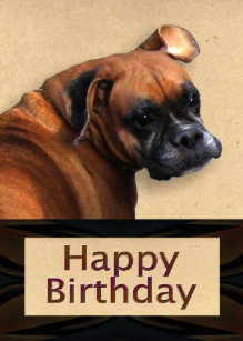 Invitations Faire Part Cartes De Boxeur De Joyeux Anniversaire Zazzle Fr Invitations Faire Part Cartes De Boxeur De Joyeux Anniversaire Zazzle Fr