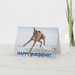 Carte d'anniversaire de chien de boxeur