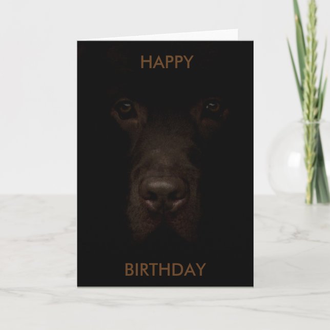 Carte d'anniversaire de chien de Labrador (Devant)