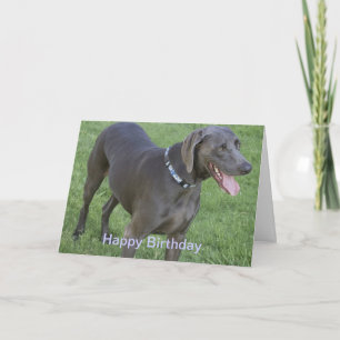 Carte d'anniversaire de chien de Weimaraner